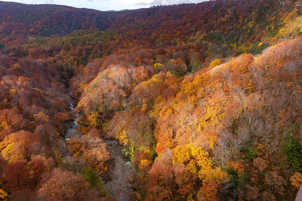 Herfst gebladerte landschap uitzicht, prachtige landschappen. Fall is vol met prachtige kleuren. Hele berg en vallei is badend in verschillende tinten van rood, oranje en gouden kleuren achtergrond — Stockfoto