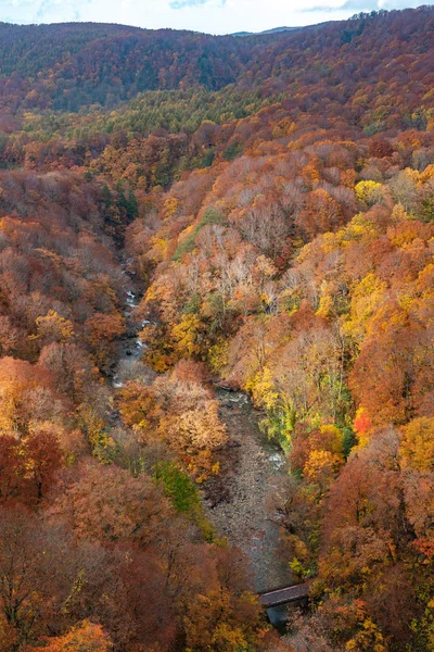 Осіннє листя краєвиди, красиві пейзажі. Осінь повна чудових кольорів. Ціла гора і долина купаються в різних відтінках червоного, помаранчевого і золотистого кольорів фону — стокове фото