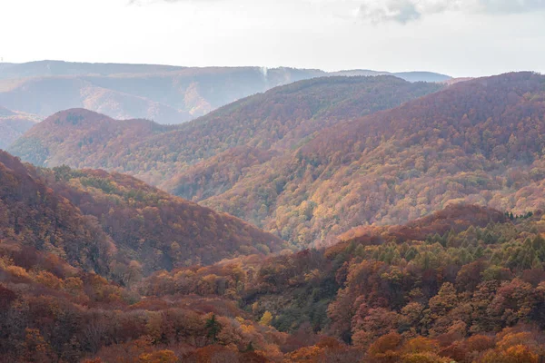 Herfst gebladerte landschap uitzicht, prachtige landschappen. Fall is vol met prachtige kleuren. Hele berg en vallei is badend in verschillende tinten van rood, oranje en gouden kleuren achtergrond — Stockfoto