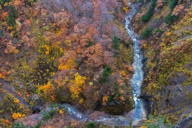 Sonbahar yeşillik manzara. Sonbahar sezonunda vadi ve akarsu havadan görünümü. Kırmızı, turuncu ve altın renklerde renkli orman ağaçları arka planı