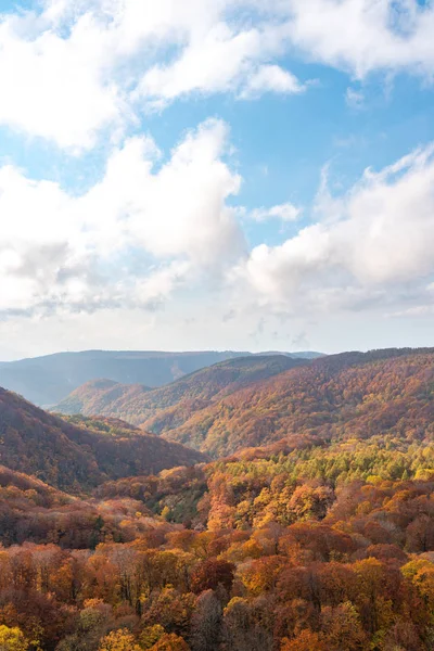 秋の紅葉風景。秋の季節の渓谷と小川の航空写真。赤、オレンジ、黄金色のカラフルな森の木の背景 — ストック写真