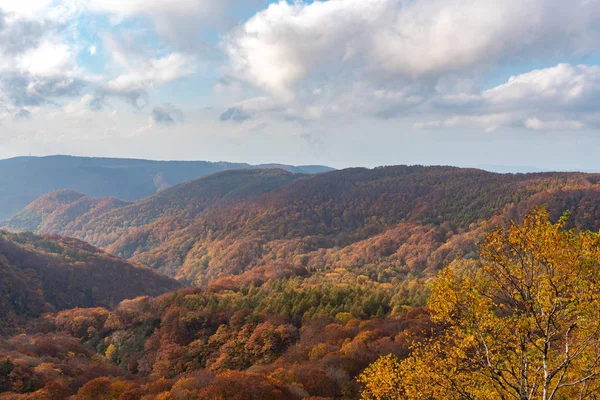 Autunno vista paesaggio fogliame, bei paesaggi. La caduta è piena di colori magnifici. Tutta la montagna e la valle è bagnata da diverse tonalità di rosso, arancio e oro colori di sfondo — Foto Stock