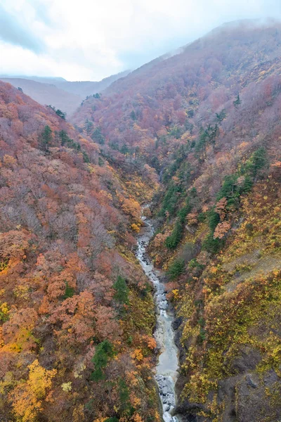 Herfst loof landschap. Luchtfoto van vallei en stroom in het najaar. Kleurrijke bos bomen achtergrond in rood, oranje en gouden kleuren — Stockfoto