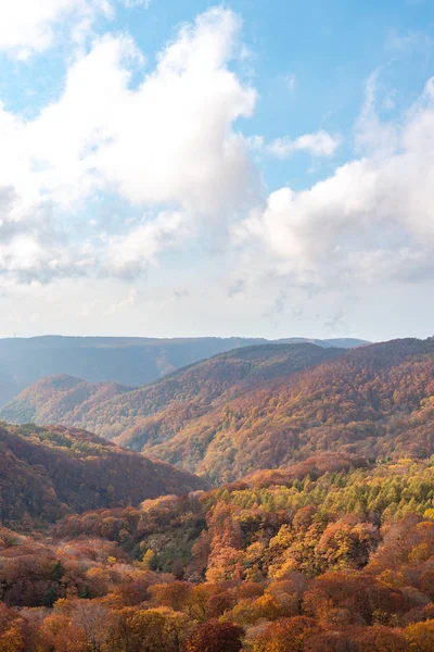 Paisagem de folhagem de outono. Vista aérea do vale e do córrego na estação do outono. Fundo de árvores florestais coloridas em cores vermelhas, laranja e douradas — Fotografia de Stock