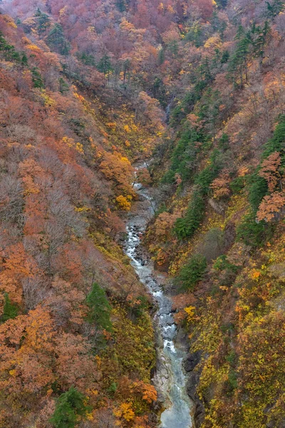 Φθινοπωρινό σκηνικό. Εναέρια θέα της κοιλάδας και του ρεύματος την εποχή των φθινοπωριών. Πολύχρωμα δέντρα δάσος φόντο σε κόκκινο, πορτοκαλί, και χρυσά χρώματα — Φωτογραφία Αρχείου