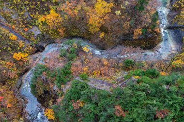 Sonbahar yeşillik manzara. Sonbahar sezonunda vadi ve akarsu havadan görünümü. Kırmızı, turuncu ve altın renklerde renkli orman ağaçları arka planı