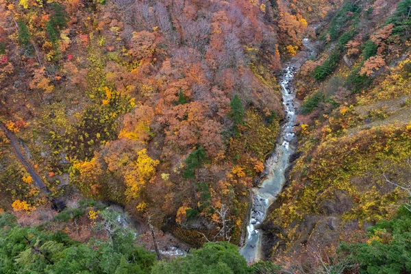 Jesienne dekoracje. Widok z lotu ptaka na dolinę i strumień w sezonie jesienne. Kolorowe tło drzew leśnych w czerwonym, pomarańczowym i złotym kolorze — Zdjęcie stockowe