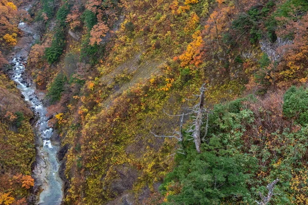 Jesienne dekoracje. Widok z lotu ptaka na dolinę i strumień w sezonie jesienne. Kolorowe tło drzew leśnych w czerwonym, pomarańczowym i złotym kolorze — Zdjęcie stockowe