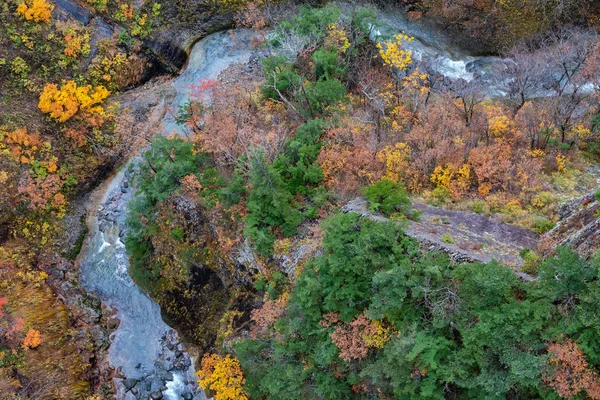 Herbstliche Laublandschaft. Luftaufnahme von Tal und Bach in der Herbstsaison. bunte Waldbäume Hintergrund in roten, orangen und goldenen Farben — Stockfoto