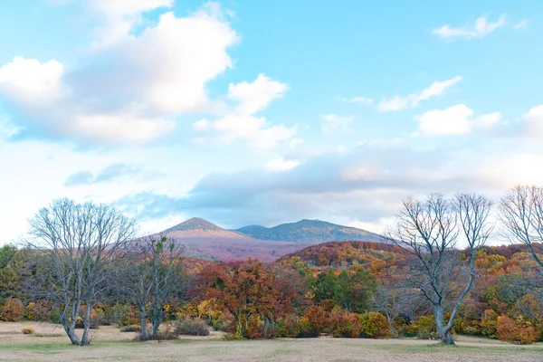 秋叶风光在日本青森高原的卡亚诺-科根高原。哈科达山的背景沐浴着不同色调的红色,橙色,金色。壮丽的秋色美丽的风景 — 图库照片