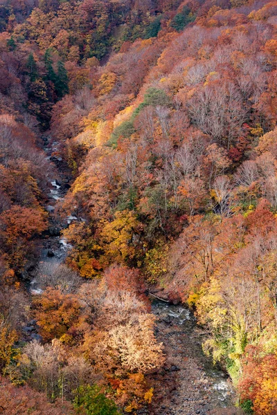 Herfst loof landschap. Luchtfoto van vallei en stroom in het najaar. Kleurrijke bos bomen achtergrond in rood, oranje en gouden kleuren — Stockfoto