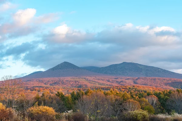 Podzimní scenérie na náhorní plošině Kayano-Kogen, Aomori, Japonsko. Pohoří hakkoda na pozadí se koupilo v různých barvách červených, oranžových a zlatých barev. Nádherná krajina nádherných barev pádu — Stock fotografie