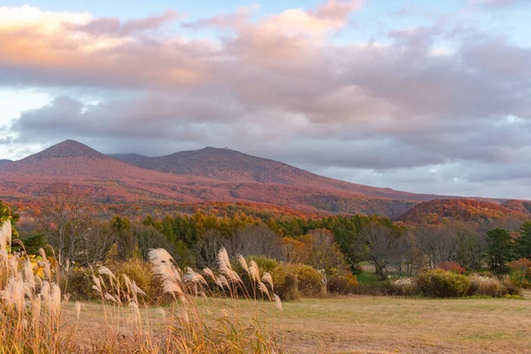 青森県鹿野高原高原の紅葉風景。背景に八甲田山脈は、赤、オレンジ、黄金の色合いの異なる色合いを浴びた。壮大な秋の色の美しい風景 — ストック写真