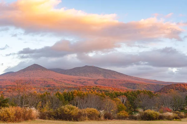 青森県鹿野高原高原の紅葉風景。背景に八甲田山脈は、赤、オレンジ、黄金の色合いの異なる色合いを浴びた。壮大な秋の色の美しい風景 — ストック写真