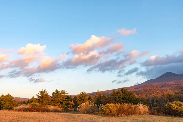 Осенние пейзажи листвы на плато Каяно-Коген, Аомори, Япония. Горы Хаккода на заднем плане купаются в различных оттенках красного, оранжевого, золотого цветов. Красивые пейзажи великолепных осенних цветов — стоковое фото