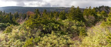 Akşam gökyüzü bulutlu güneş ışığı altında dağ orman manzarası