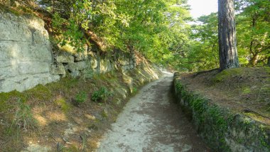 Matsushima kasabasındaki Ojima Adası. vermilion-lake Togetsu Köprüsü'nün diğer tarafında yer almaktadır. Ünlü Matsushima Körfezi'nin bir parçası, Japonya'nın Üç Manzarası, Miyagi Prefecture, Japonya. 08 Ağustos 2016