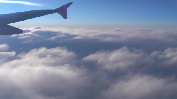 Arriba Aire Vista Silueta Del Ala Del Avión Con Horizonte — Vídeo de stock