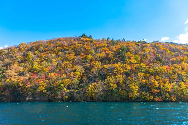 美丽的秋叶风景。秋天充满了绚丽的色彩。从托瓦达湖观光游轮景色。晴朗的蓝天，水，白云，阳光明媚的天背景。青森， 日本 — 图库照片