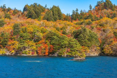 Güzel sonbahar yeşillik manzara manzaralar. Sonbahar muhteşem renklerle doludur. Towada Gölü gezi Cruise gemi görünümü. Berrak mavi gökyüzü, su, beyaz bulut, güneşli bir gün arka plan. Aomori, Japonya