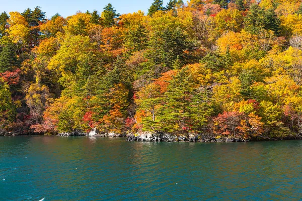 Hermosos paisajes de follaje otoñal. El otoño está lleno de magníficos colores. Vista desde el lago Towada crucero turístico. Cielo azul claro, agua, nube blanca, fondo de día soleado. Aomori, Japón — Foto de Stock