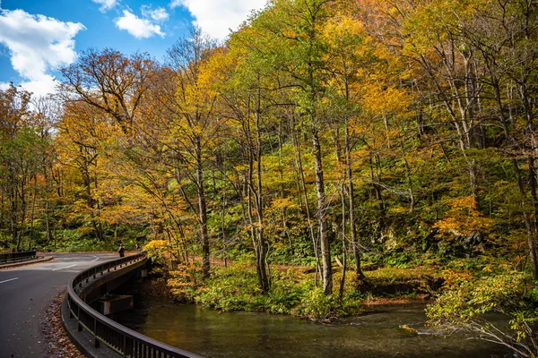 Oirase stream napsütéses napon, szép alá lombozat jelenet őszi színekben. Áramló folyó, lehullott levelek, Mohos sziklák towada Hachimantai Nemzeti Park, Aomori, Japán. Híres és közkedvelt úticélok — Stock Fotó