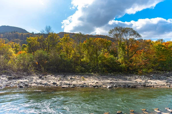 Alcance inferior de Oirase Stream en día soleado, hermosa escena de follaje de otoño en colores otoñales. Bosque, río que fluye, hojas caídas, rocas musgosas en el Parque Nacional Towada Hachimantai, Aomori, Japón —  Fotos de Stock