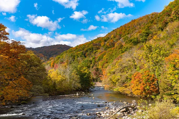 晴れた日の大平瀬川の下流、秋の紅葉シーン。青森県十和田八幡平国立公園の森林、流れる川、落ち葉、苔むした岩 — ストック写真