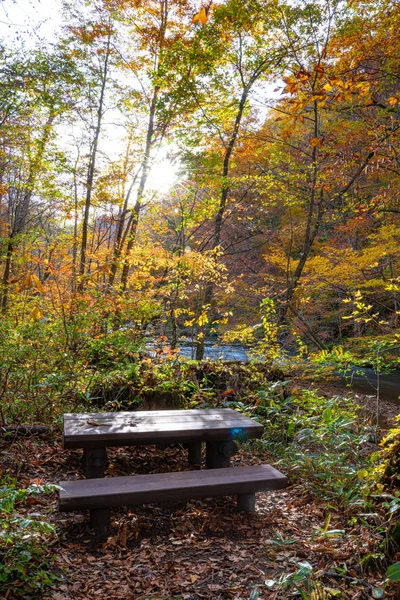 Wooden bench in the forest, beautiful fall foliage scene in autumn colors. Flowing river, fallen leaves, mossy rocks in Towada Hachimantai National Park, Aomori, Japan. Famous and popular destinations