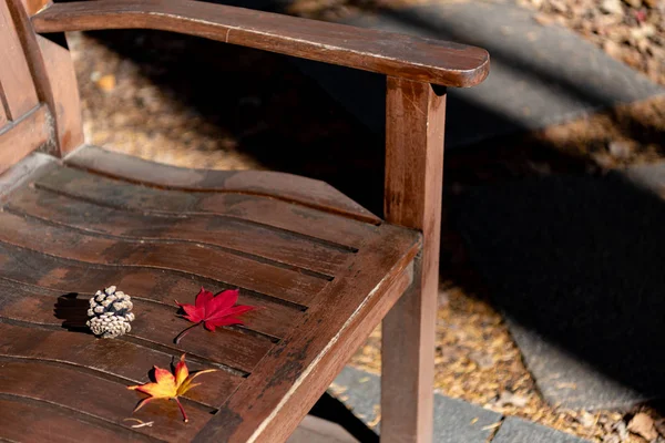 Feuilles d'automne colorées tombées sur un banc en bois. vue rapprochée d'en haut, beaux décors de concept saisonniers — Photo