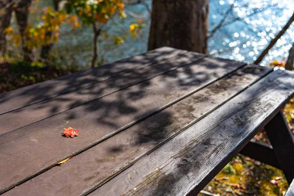 Feuilles d'automne colorées tombées sur un banc en bois. vue rapprochée d'en haut, beaux décors de concept saisonniers — Photo
