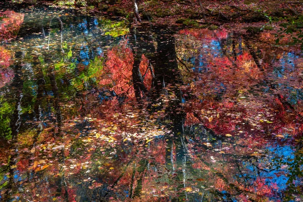 Feuillage d'automne coloré réfléchissant sur la surface par temps ensoleillé à Kumobaike Pond, Karuizawa, Japon. Multicolore beau concept saisonnier milieux — Photo
