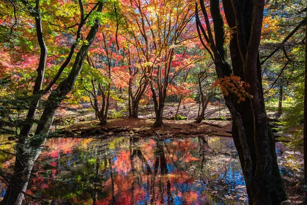 Kleurrijke herfst bladeren reflecteren op oppervlak in zonnige dag in Kumobaike pond, Karuizawa, Japan. Multicolor mooie seizoensgebonden concept achtergronden — Stockfoto