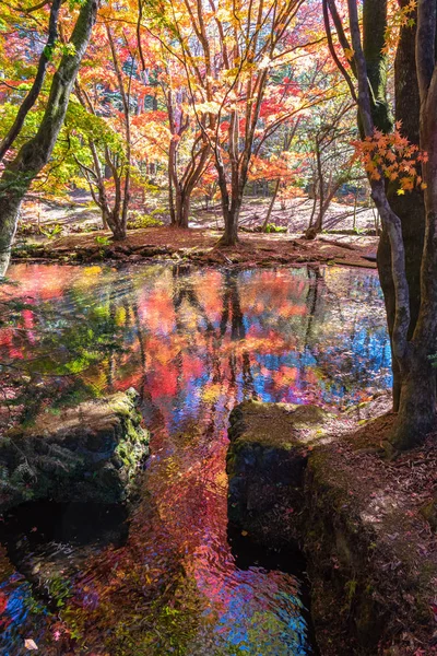 Colorido follaje otoñal que se refleja en la superficie en un día soleado en Kumobaike Pond, Karuizawa, Japón. Multicolor hermosos fondos concepto estacional — Foto de Stock