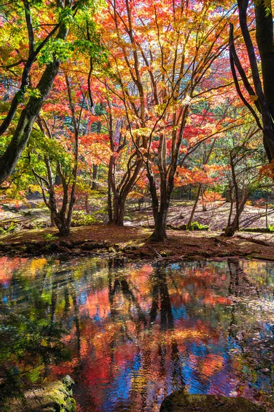 Színes őszi lombozat tükröző felület napsütéses napon a Kumobaike tó, Karuizawa, Japán. Multicolor gyönyörű szezonális koncepció hátterek — Stock Fotó