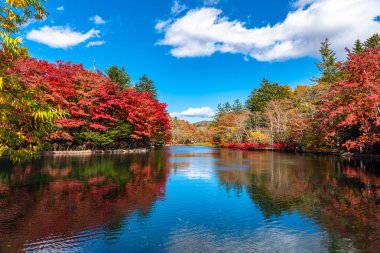 Kumobaike Pond sonbahar yeşillik manzara görünümü, güneşli bir günde yüzeye yansıyan çok renkli. Karuizawa park çevresinde kırmızı, turuncu, sarı, altın renklerile renkli ağaçlar, Nagano Prefecture, Japonya
