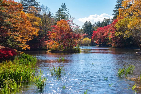 Kumobaike Pond höst lövverk landskap Visa, Multicolor reflektera på ytan i solig dag. Färgglada träd med rött, orange, gult, gyllene färger runt parken i Karuizawa, Nagano prefektur, Japan — Stockfoto