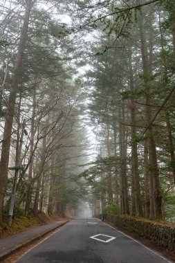 Karuizawa bahar manzara sokak görünümü, sisli bir günde yol etrafında dev ağaçlar. Ünlü turistik. Karuizawa, Nagano Prefecture, Japonya