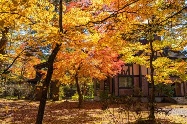 Karuizawa sonbahar manzara görünümü, Japonya'nın en iyi bilinen tatil köylerinden biri. güneşli bir günde kır evi etrafında kırmızı, turuncu, sarı, yeşil, altın renkler ile renkli ağaç, Nagano Prefecture, Japonya