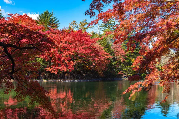 Kumobaike Teich Herbst Ansicht, bunte Reflexion auf der Oberfläche bei sonnigem Tag. bunte bäume mit roten, orangen, gelben, goldenen farben rund um den park in karuizawa, nagano-präfektur, japan - 31.10.2018 — Stockfoto