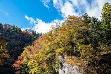 Geibi Gorge ( Geibikei ) Güneşli bir günde sonbahar yaprakları manzara manzarası. Ichinoseki, Iwate Prefecture, Japonya'da muhteşem sonbahar renkleri güzel manzaralar
