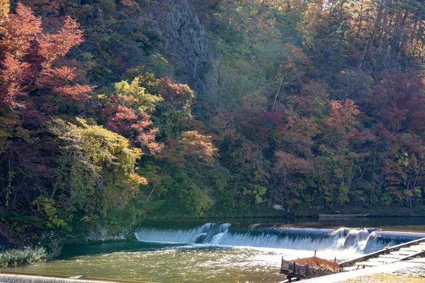 Wąwóz geibi (Geibikei) jesienny widok na dekoracje w słoneczny dzień. Piękne krajobrazy wspaniałych kolorów upadku w Ichinoseki, Prefektura Iwate, Japonia — Zdjęcie stockowe