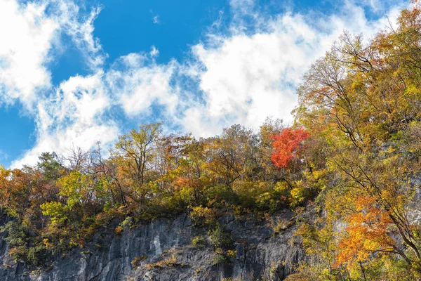 芸備渓谷(芸飛)晴れた日の紅葉風景。岩手県一関市の壮大な秋の色彩の美しい風景 — ストック写真