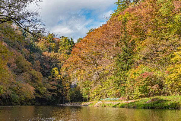 Ущелина гейбі (гейм) з осінніх листя на сонячних днях. Красиві пейзажі чудових кольорів осені в Ітіносекі, Префектура Івате, Японія — стокове фото