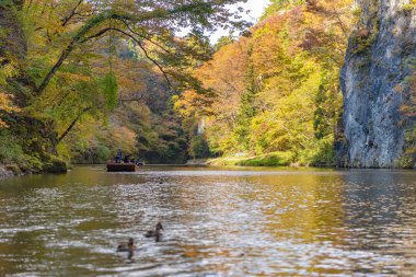 Geibikei Gorge River Cruises Sonbahar yeşillik sezonunda. Güneşli havalarda güzel manzara manzaralar. Ichinoseki, Iwate Prefecture, Japonya - 28 Ekim 2018
