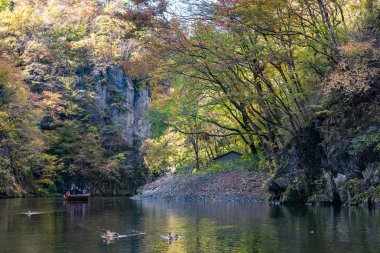 Geibikei Gorge River Cruises Sonbahar yeşillik sezonunda. Güneşli havalarda güzel manzara manzaralar. Ichinoseki, Iwate Prefecture, Japonya - 28 Ekim 2018