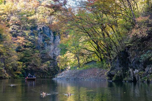 Cruceros por el río Geibikei Gorge en temporada de follaje de otoño. Hermoso paisaje paisajes vista en el día de clima soleado. Ichinoseki, Prefectura de Iwate, Japón - Oct 28, 2018 —  Fotos de Stock