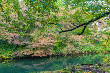 Hirosaki Castle Park Sonbahar yeşillik manzara görünümü. Güneşli bir günde yüzeye yansıyan çok renkli güzel manzaralar. Hirosaki city, Aomori Prefecture, Japonya