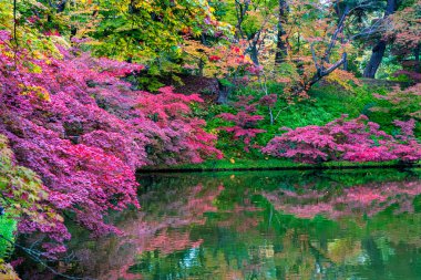 Hirosaki Castle Park Sonbahar yeşillik manzara görünümü. Güneşli bir günde yüzeye yansıyan çok renkli güzel manzaralar. Hirosaki city, Aomori Prefecture, Japonya