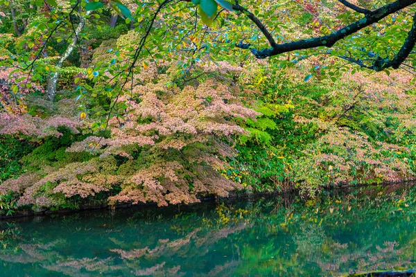 Hirosaki Castle Park Vista del paisaje de follaje de otoño. Hermosos paisajes de multicolor reflejándose en la superficie en día soleado. Hirosaki, Prefectura de Aomori, Japón — Foto de Stock